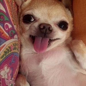 Meet your Posher, Mariah